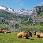 Direct Tour To Covadonga Lakes Picos De Europa From Oviedo Tour Overview