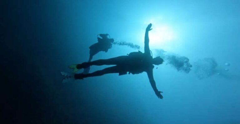 Discover Scuba Diving Activity Overview