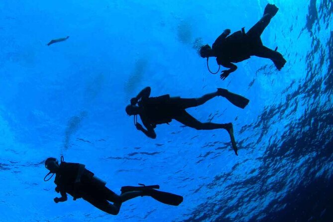 Diving Baptism in the Marine Reserve of Cabo Tiñoso - Meeting and End Point Details