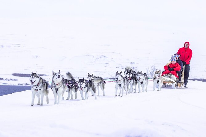 Dogsledding, Near Akureyri - Description and Tour Details