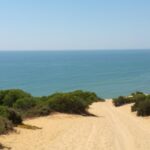 Doñana National Park And El Rocío: Private Tour From Seville Overview Of The Tour