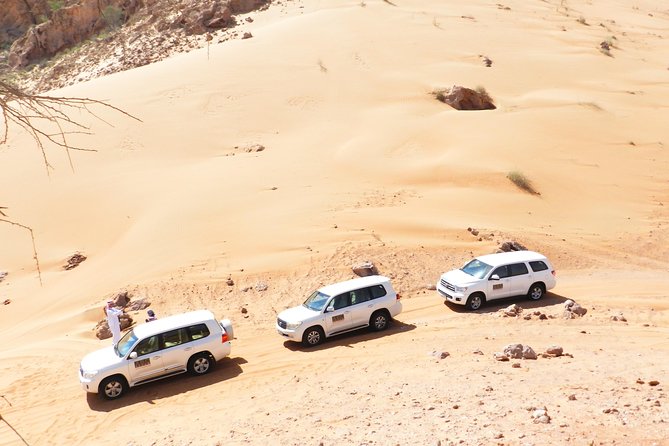 Dubai Desert Safari Exclusive Jeep, Activities, Shows (01-05 Persons) per Jeep - Inclusions and Activities