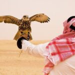 Dubai Desert Safari With Camp Activities And Atv Self Drive Quad Bike Dune Bashing Adventure