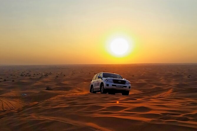 Dubai Desert Safari With Dinner, Dune Bashing and Camel Riding - Inclusions