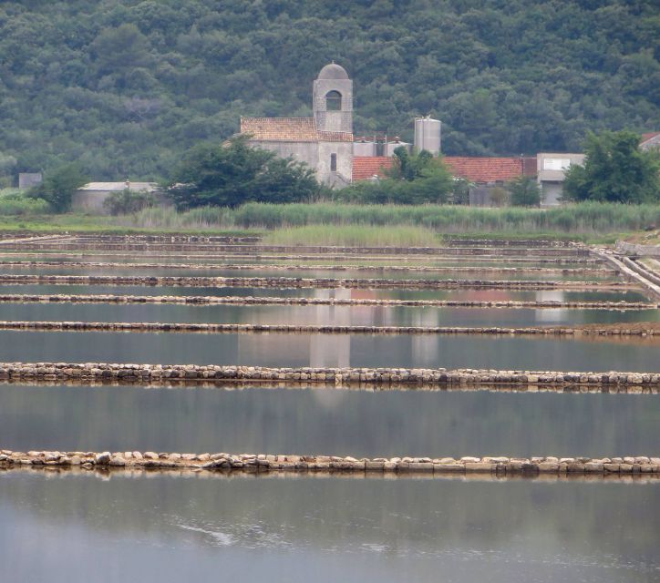 Dubrovnik: Day Trip to 3 Peljesac Wineries With Tastings - Tour Overview and Pricing