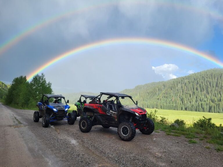 Durango: Guided 2 Hr Utv/rzr Tour Tour Details