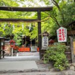 Enjoyable & Relaxing Walking Tour In Arashiyama And Sagano Tour Overview