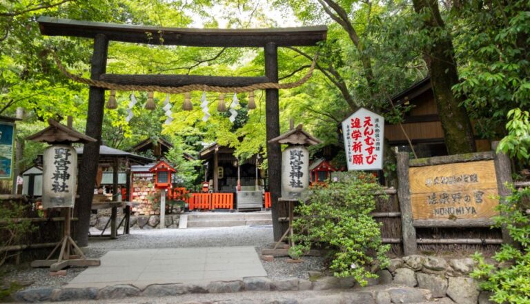 Enjoyable & Relaxing Walking Tour In Arashiyama And Sagano Tour Overview