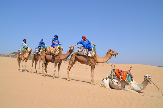 Essaouira 2-Hour Camel Adventure Ride - Overview of the Experience