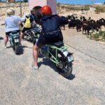 Essaouira Express Circuit By Electric Motorcycle Tour Overview