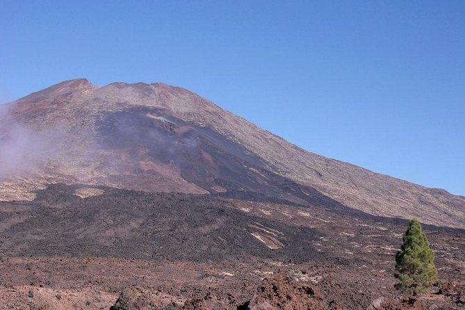 Essential Tenerife and Teide Shore Excursion VIP TOUR - Tour Inclusions