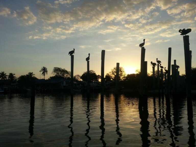 Everglades National Park: Motorboat Eco Tour Tour Overview