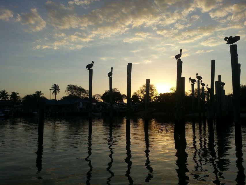 Everglades National Park: Motorboat Eco Tour - Tour Overview