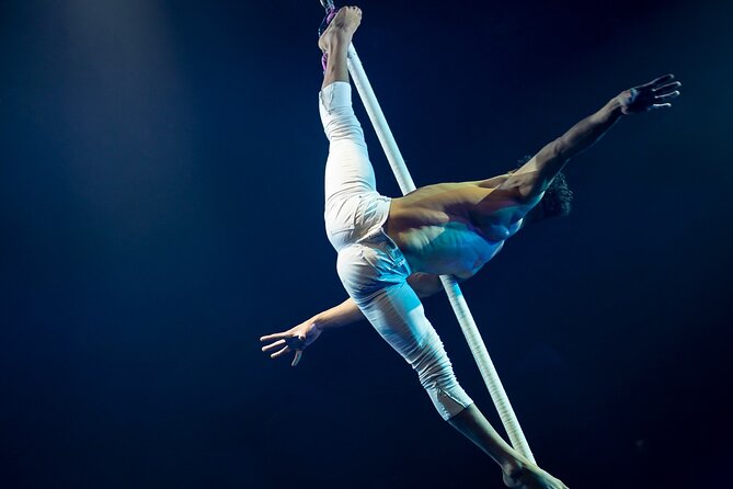 EXHIBIT - Acrobatics, Dance & Art - Captivating Acrobatic Performances