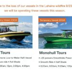 Eye Level Whale Watching Eco Raft Tour From Lahaina, Maui Tour Departure And Meeting Point