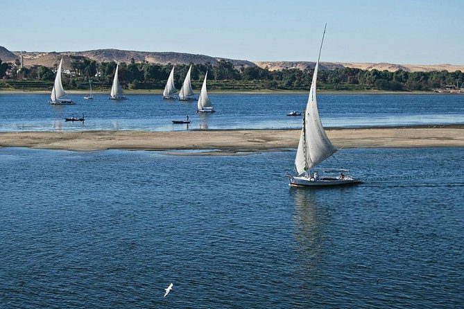 Felucca in Luxor Amazing Sunset Sailing {Private} 2 Hours - Overview and Experience