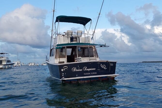 FISHING PRO CHARTERS - Boat Excursion - Divina - Inclusions and Amenities