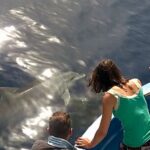 Fishing, Snorkelling & Dolphin Boat Tour Activity Details