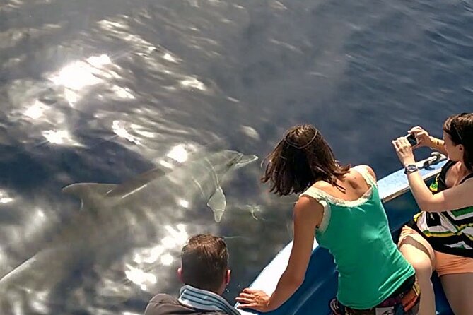 Fishing, Snorkelling & Dolphin Boat Tour - Activity Details