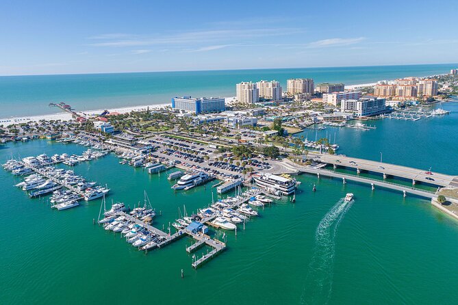 !! Flippers Fun Boat !! Dolphin Tour Adventure Clearwater Beach! - Overview of the Dolphin Tour