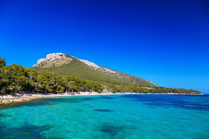 Formentor With Boat Trip + Local Market Tour Overview