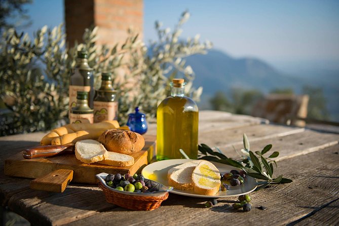 From Abano Montegrotto Olive Oil & Wine in the Euganean Hills - Overview