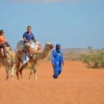 From Agadir Or Taghazout: Small Desert Day Trip ​ Overview Of The Tour