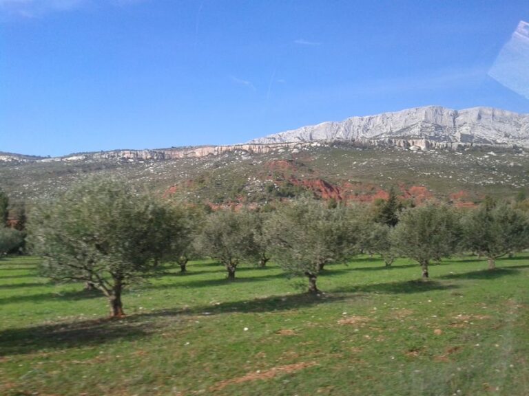 From Aix En Provence: Wine Tour In Cezanne Countryside Overview Of The Wine Tour