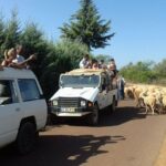 From Albufeira: 4x4 Off Road Safari & Vineyard Wine Tasting Tour Highlights