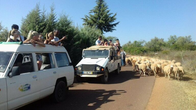 From Albufeira: 4x4 Off Road Safari & Vineyard Wine Tasting Tour Highlights