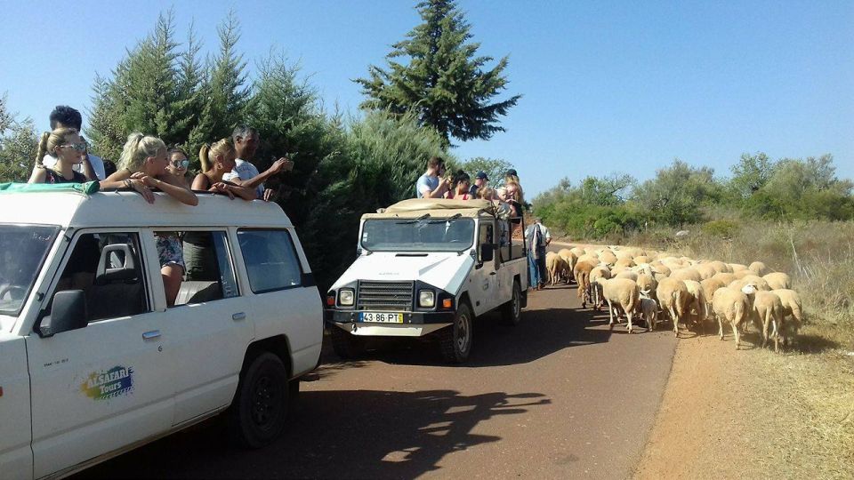 From Albufeira: 4x4 Off-Road Safari & Vineyard Wine Tasting - Tour Highlights