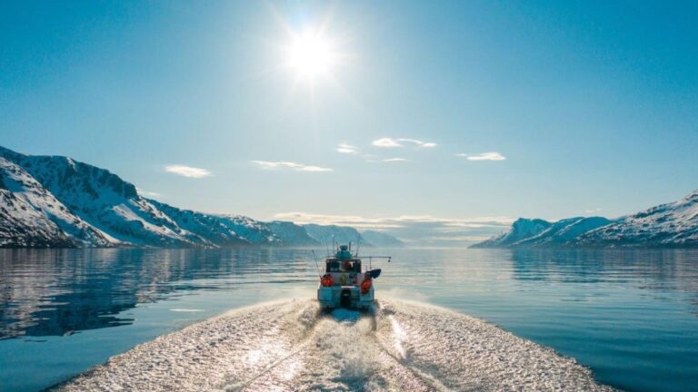 From Alta: Adventure Cruise In Alta Fjord Tour Overview