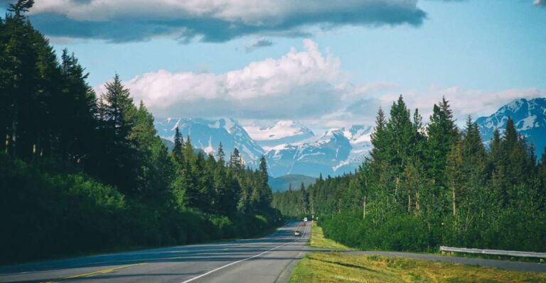 From Anchorage: Turnagain Arm And Wildlife Center Tour Tour Overview