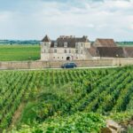 From Beaune: Burgundy Day Trip With 12 Wine Tastings Overview Of The Tour