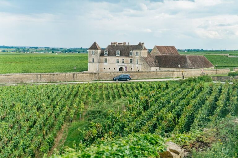 From Beaune: Burgundy Day Trip With 12 Wine Tastings Overview Of The Tour