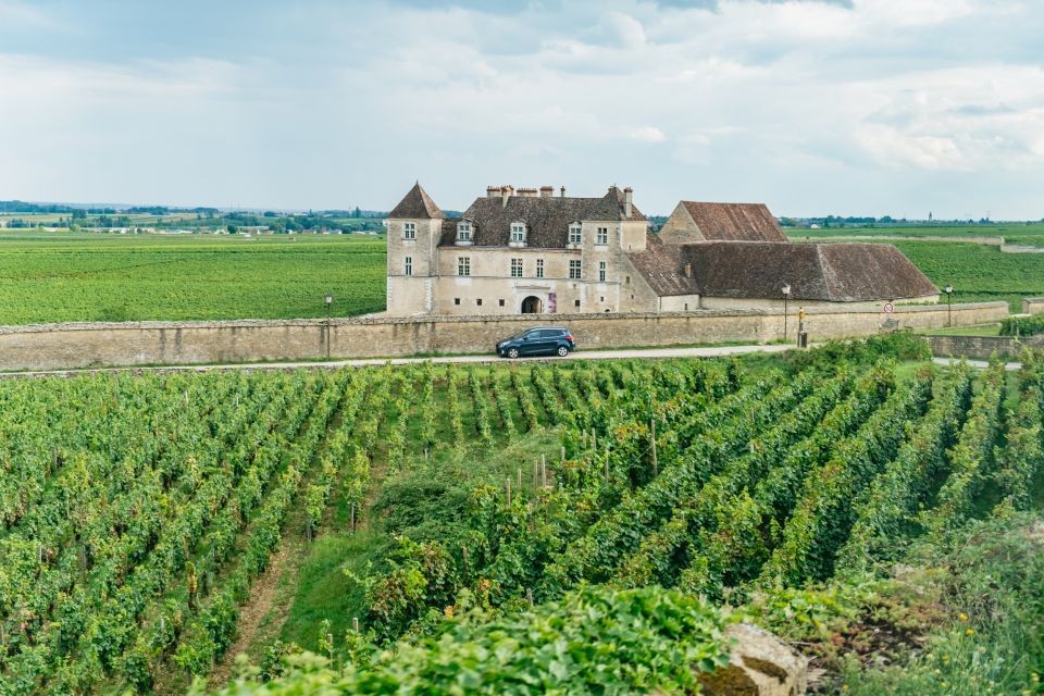 From Beaune: Burgundy Day Trip With 12 Wine Tastings - Overview of the Tour