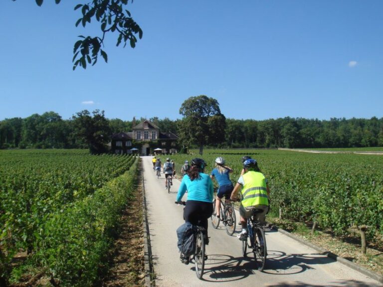 From Beaune: Full Day Bicycle And Wine Tour In Burgundy Tour Details