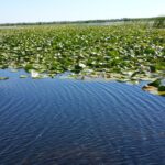 From Bucharest: 3 Day Danube Delta Birdwatching Private Tour Tour Overview And Pricing