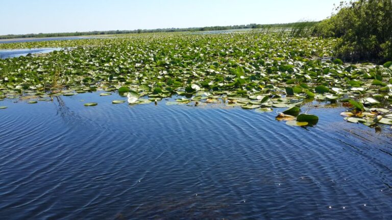 From Bucharest: 3 Day Danube Delta Birdwatching Private Tour Tour Overview And Pricing