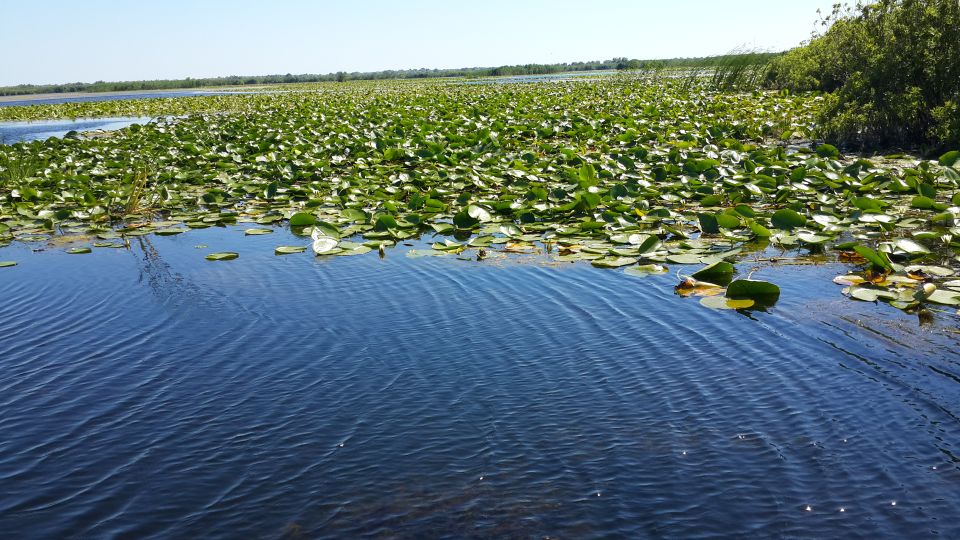 From Bucharest: 3-Day Danube Delta Birdwatching Private Tour - Tour Overview and Pricing