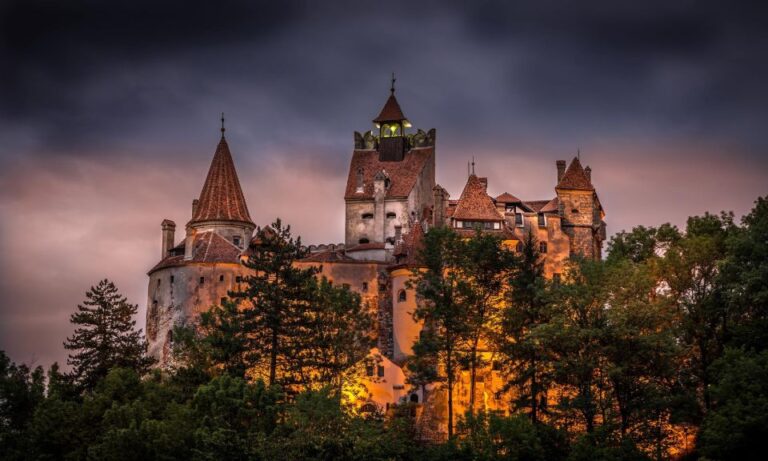 From Bucharest: Day Trip To Dracula And Peles Castle Tour Overview And Pricing