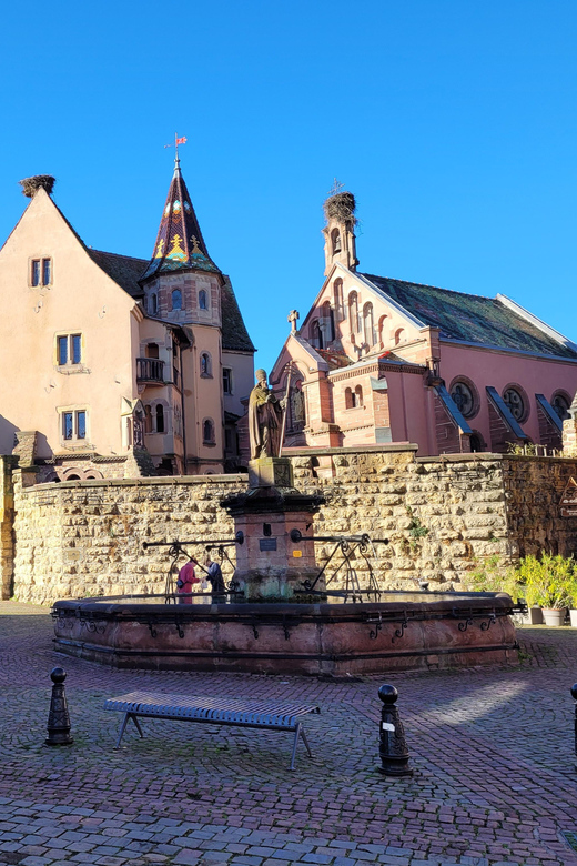 From Colmar: Alsace Wine Route Tour Half Day - Tour Overview