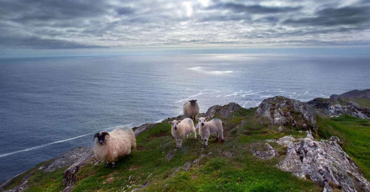 From Cork: Guided Full-Day West Cork to Mizen Head Tour - Tour Overview