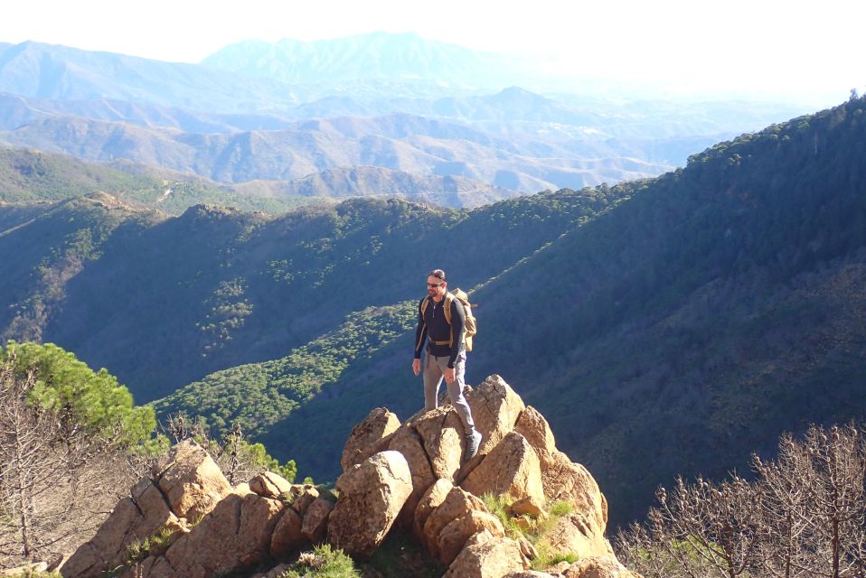 From Costa Del Sol: Sierra Bermeja Private Hiking Tour - Tour Overview and Pricing