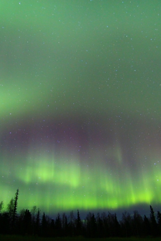 From Fairbanks: Northern Lights & Murphy Dome Tour - Tour Overview