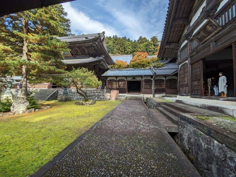 From Kanazawa: Eiheiji Buddhist Temple & Fukui Castle Town Tour Overview And Pricing