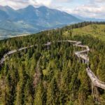 From Krakow: Slovakia Treetop Walk And Zakopane Tour Tour Overview And Pricing