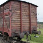 From Krakow: Wieliczka Salt Mine & Auschwitz Guided Trip Tour Overview