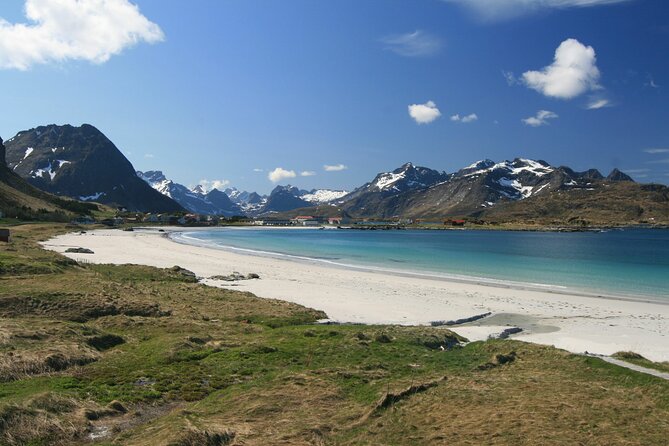 From Leknes Port: Special Summer Guided Tour of Lofoten - Surfing Haven at Skagsanden