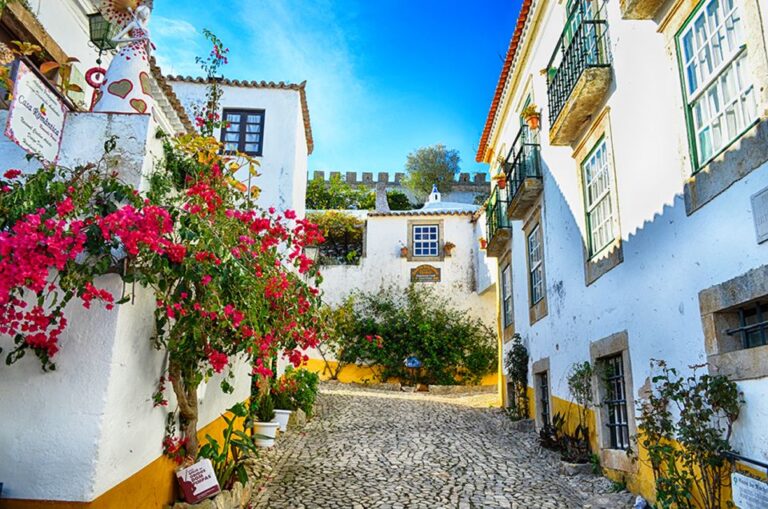 From Lisbon: Nazaré And Óbidos Private Tour In A Premium Car Tour Overview